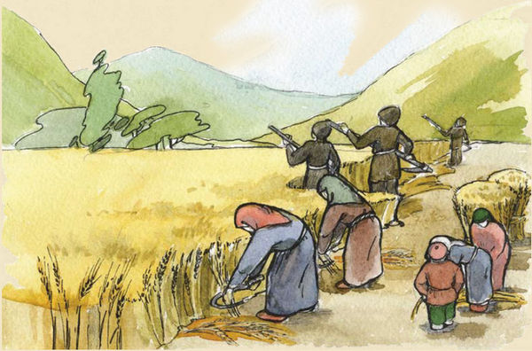 Мадлена Гаджиева - Лезгины. История, культура, традиции