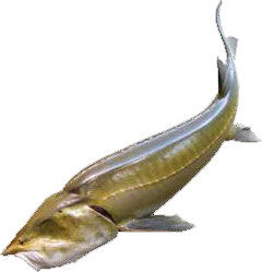 Надежда Бондаренко, Наталья Шинкарёва - Кулинарная энциклопедия. Том 10. И-К...