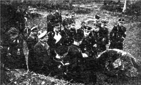 Ольга Грейгъ, Дмитрий Любченко - "Человек совершенный": от евгеники к...