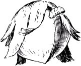 Жизнь насекомых. Рассказы энтомолога