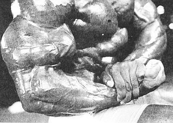 Арнольд Шварценеггер, Билл Доббинс - Новая энциклопедия бодибилдинга. Кн.2....