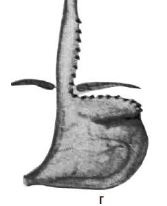 Коллектив авторов - Избранные лекции по факультетской хирургии: учебное пособие