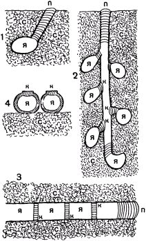 Жан-Анри Фабр - Жизнь насекомых. Рассказы энтомолога