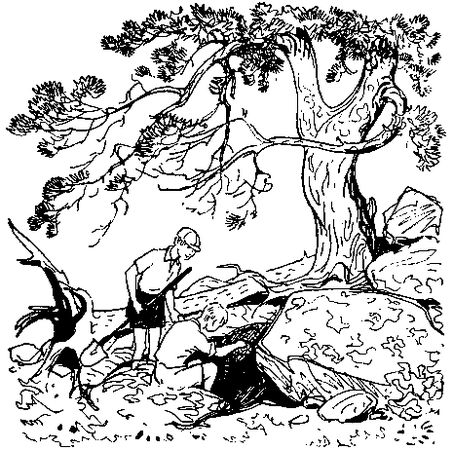 Анатолий Чехов - У самой границы