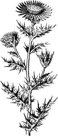 Жан-Анри Фабр - Жизнь насекомых. Рассказы энтомолога