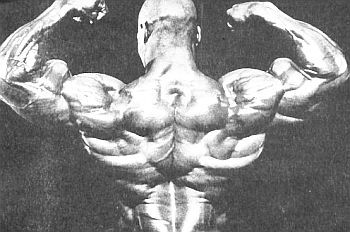 Арнольд Шварценеггер, Билл Доббинс - Новая энциклопедия бодибилдинга. Кн.2....