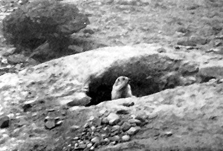 Роальд Потапов - Неведомый Памир