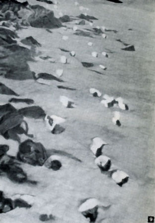 Роальд Потапов - Неведомый Памир