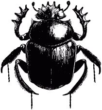 Жан-Анри Фабр - Жизнь насекомых. Рассказы энтомолога