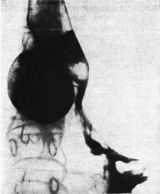 Коллектив авторов - Избранные лекции по факультетской хирургии: учебное пособие