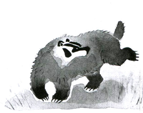 Пал Бекеш - Барсук с нашего двора