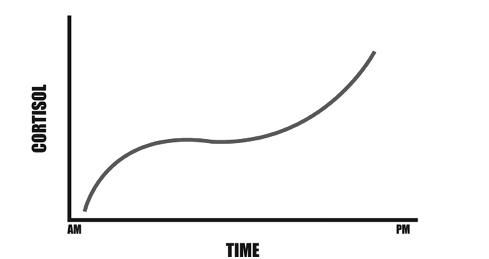Робб Вулф - Палеодиета - живое питание для здоровья