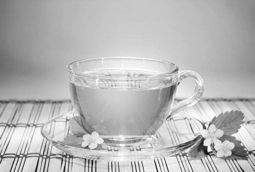 Ольга Зьомко, Дмитрий Сухаревский - Как заработать на фотографии в Интернете