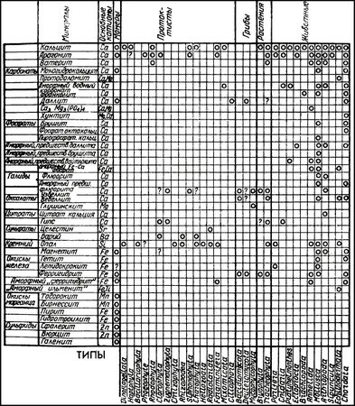 Андрей Лапо - Следы былых биосфер, или Рассказ о том, как устроена биосфера и...