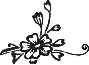 Я обманывать себя не стану...