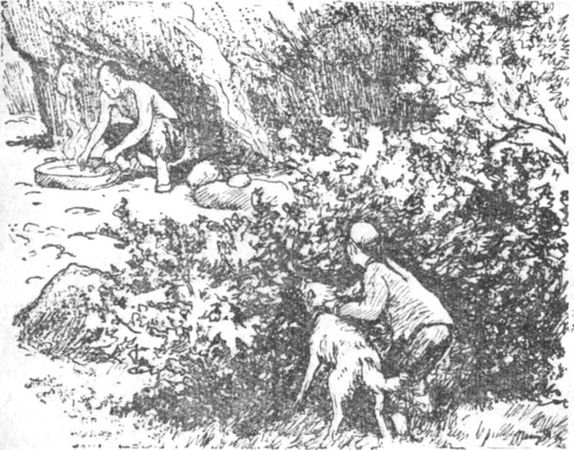 Владимир Обручев - Золотоискатели в пустыне