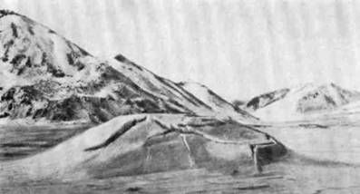 Сергей Обручев - В неизведанные края