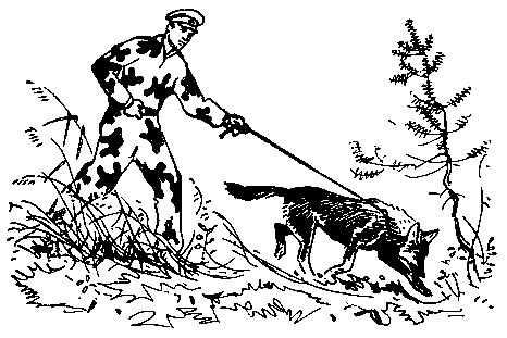 Анатолий Чехов - У самой границы