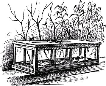 Жан-Анри Фабр - Жизнь насекомых. Рассказы энтомолога