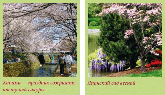 Мария Згурская - Китайский и японский сад