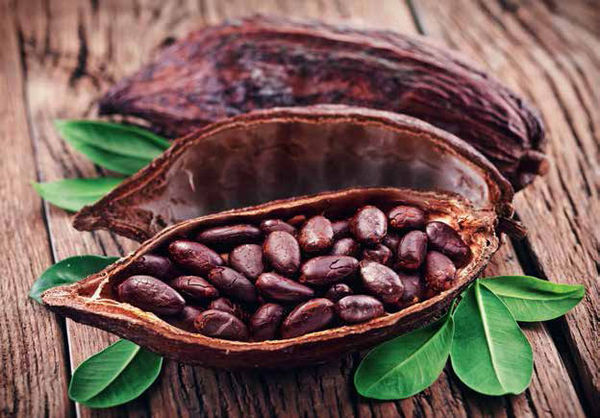 Надежда Бондаренко, Наталья Шинкарёва - Кулинарная энциклопедия. Том 10. И-К...