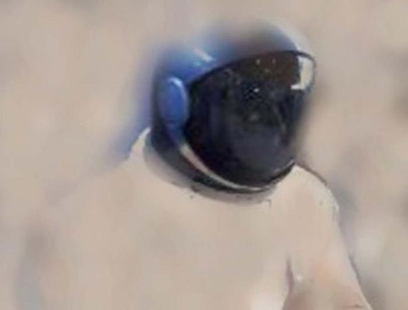 Владимир Ромашкин - Загадки исчезнувших цивилизаций. Часть I. Загадочная Антарктида