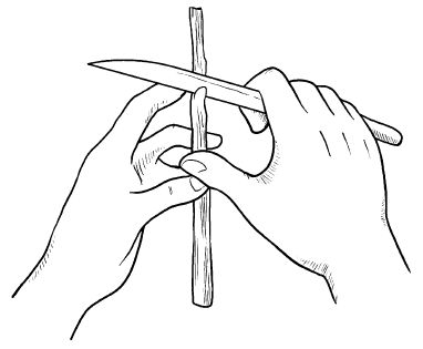 Галина Серикова - Прививка плодовых деревьев: распространенные ошибки и секреты...