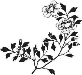 Сергей Есенин - Я обманывать себя не стану...