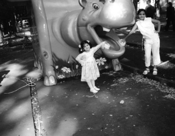 Николай Веракса, Александр Веракса - Проектная деятельность дошкольников....