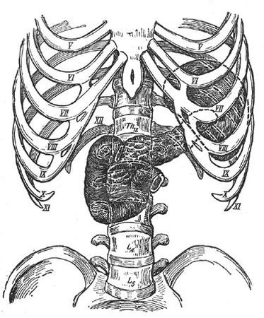 Коллектив авторов - Избранные лекции по факультетской хирургии: учебное пособие