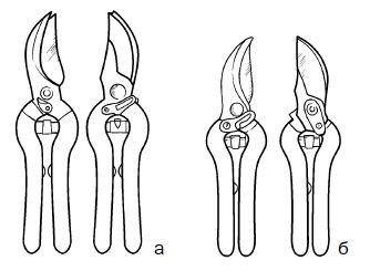 Галина Серикова - Прививка плодовых деревьев: распространенные ошибки и секреты...