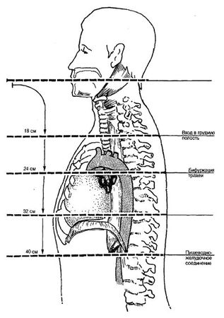 Коллектив авторов - Избранные лекции по факультетской хирургии: учебное пособие