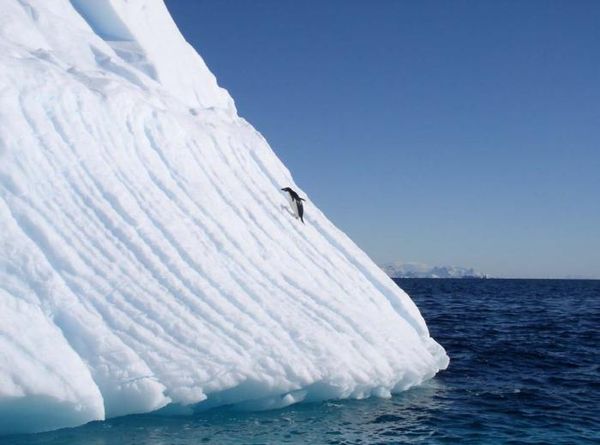 Владимир Ромашкин - Загадки исчезнувших цивилизаций. Часть I. Загадочная Антарктида