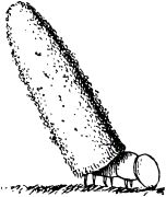 Жан-Анри Фабр - Жизнь насекомых. Рассказы энтомолога