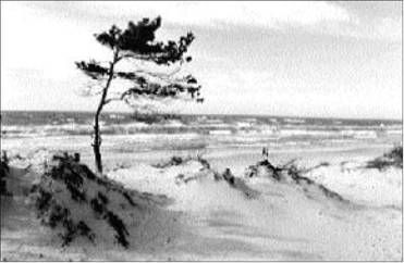 Геннадий Разумов - Атлантиды земли и морей