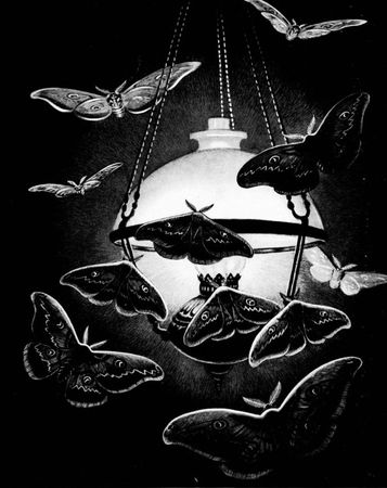 Жан-Анри Фабр - Жизнь насекомых. Рассказы энтомолога