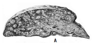 Избранные лекции по факультетской...