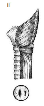 Коллектив авторов - Избранные лекции по факультетской хирургии: учебное пособие