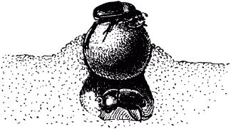 Жан-Анри Фабр - Жизнь насекомых. Рассказы энтомолога