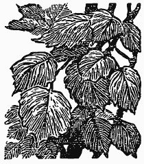 Михаил Пришвин - Том 3. Журавлиная родина. Календарь природы