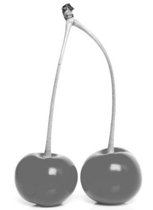 Ольга Зьомко, Дмитрий Сухаревский - Как заработать на фотографии в Интернете