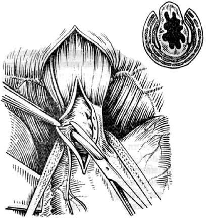 Коллектив авторов - Избранные лекции по факультетской хирургии: учебное пособие