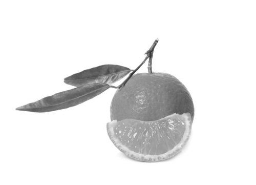 Ольга Зьомко, Дмитрий Сухаревский - Как заработать на фотографии в Интернете