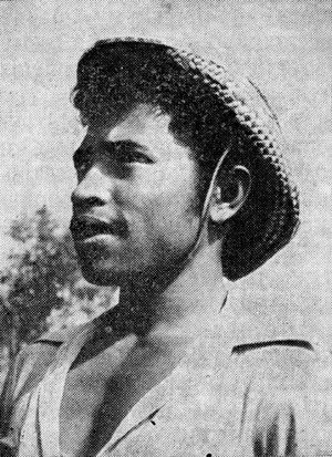 Януш Вольневич - Красочный пассат, или Странствия по островам Южных морей