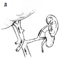 Коллектив авторов - Избранные лекции по факультетской хирургии: учебное пособие