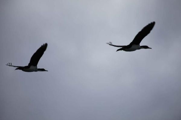 Владимир Ромашкин - Загадки исчезнувших цивилизаций. Часть I. Загадочная Антарктида