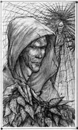 Кирилл Алексеев - Пожиратель мух