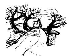 Анатоль Франс - Боги жаждут