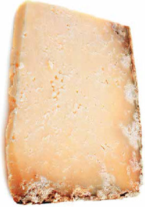 Надежда Бондаренко, Наталья Шинкарёва - Кулинарная энциклопедия. Том 10. И-К...