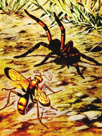 Жан-Анри Фабр - Жизнь насекомых. Рассказы энтомолога